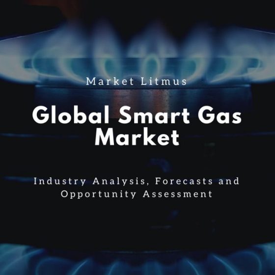 Global Smart Gas Market Sizes and Trends