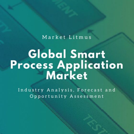 Global Smart Process Application Market Sizes and Trends