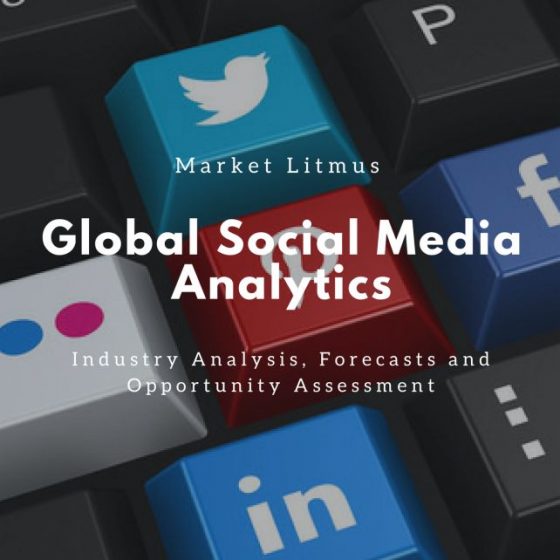 Global Social Media Analytics Market Sizes and Trends