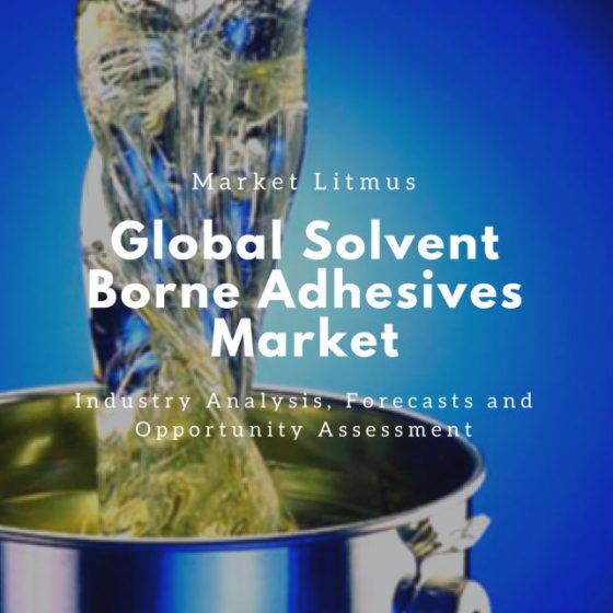 Global Solvent Borne Adhesives Market Sizes and Trends