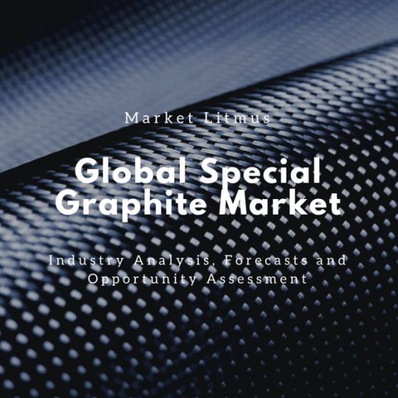 Global Special Graphite Market Sizes and Trends