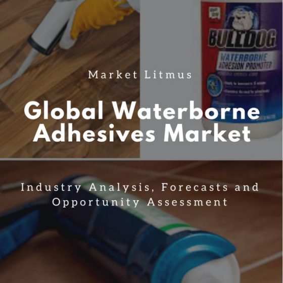 Global Waterborne Adhesives Market Sizes and Trends