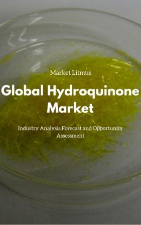 Global hydroquinone market Sizes and Trends