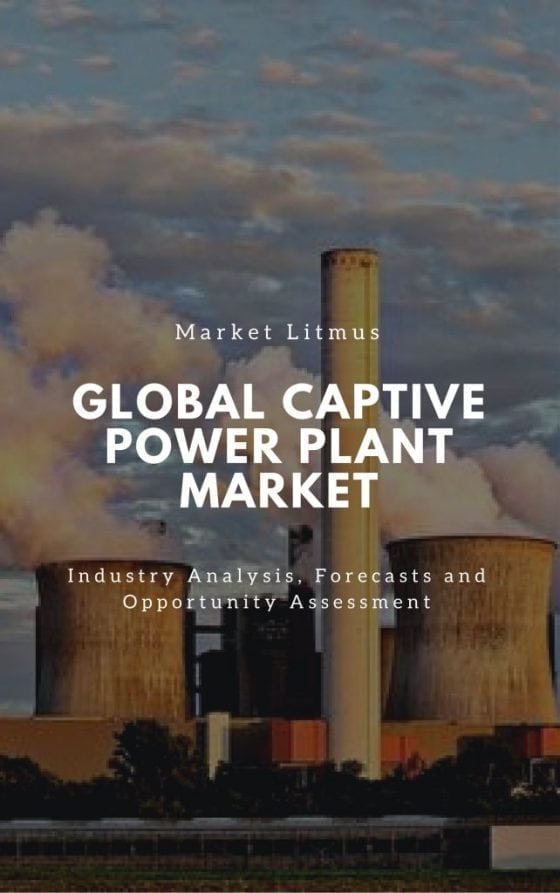 Global Captive Power Plant Market Sizes and Trends