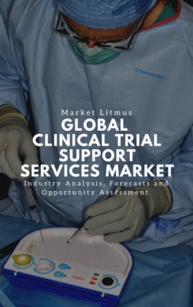 Global Clinical Trial Support Services Market Sizes and Trends