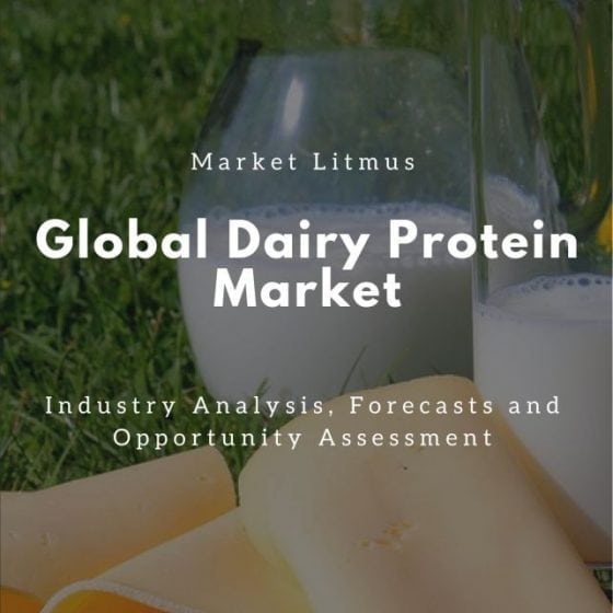 Global Dairy Protein Market Sizes and Trends