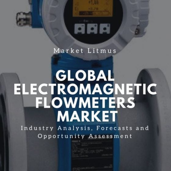 Global Electromagnetic Flowmeters Market Sizes and Trends