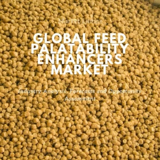 Global Feed Palatability Enhancers Market Sizes and Trends