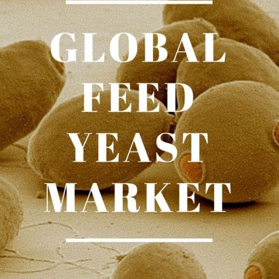 Global Feed Yeast Market Sizes and Trends