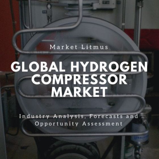 Global Hydrogen Compressor Market Sizes and Trends