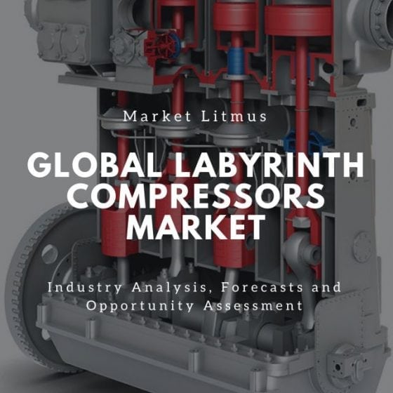 Global Labyrinth Compressors Market Sizes and Trends