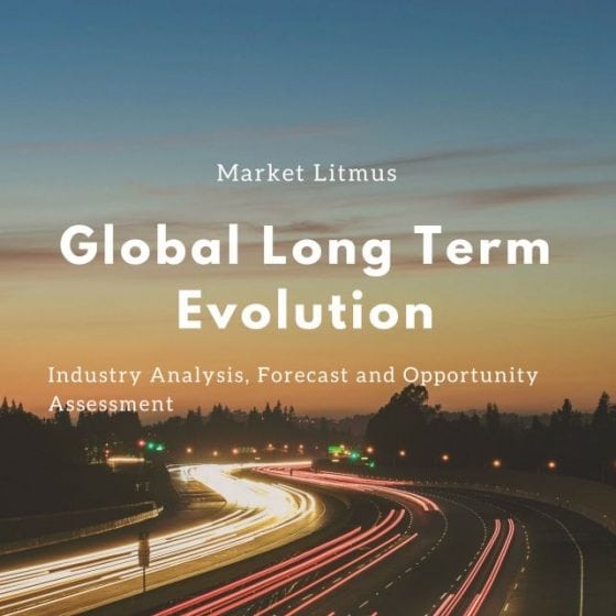 Global Long Term Evolution Sizes and Trends