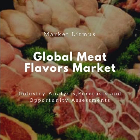 Global Meat Flavors Market Sizes and Trends