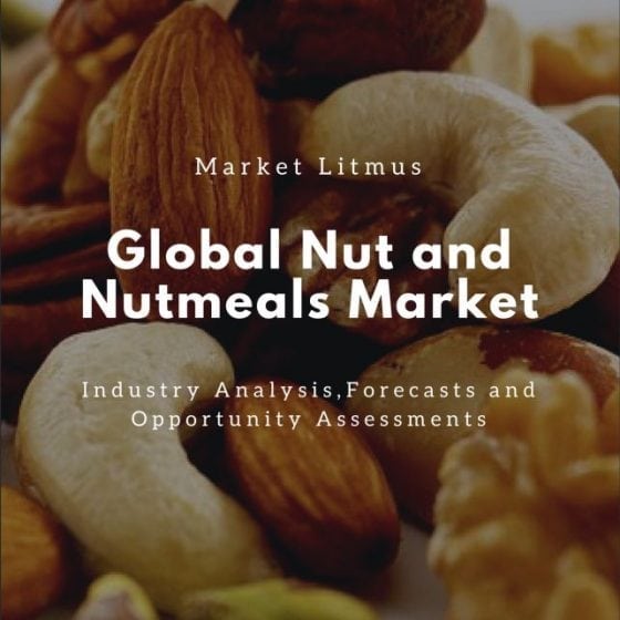 Global Nuts and Nutmeals Market Sizes and Trends