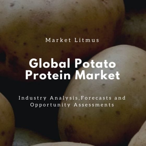 Global Potato Protein Market Sizes and Trends