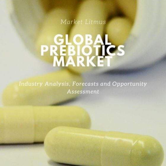 Global Prebiotics Market Sizes and Trends