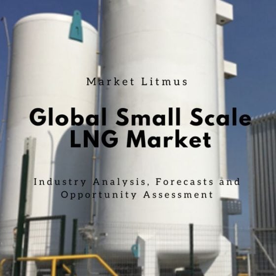 Global Small Scale LNG Market Sizes and Trends