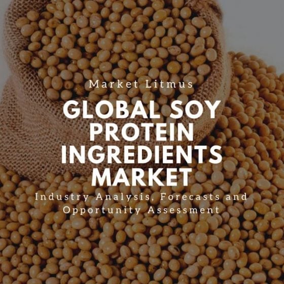 Global Soy Protein Ingredients Market Sizes and Trends