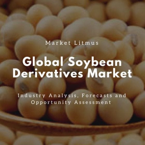 Global Soybean Derivatives Market Sizes and Trends