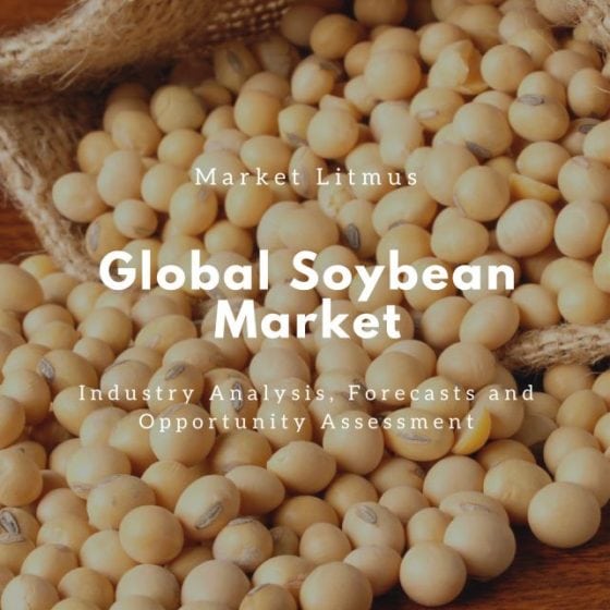 Global Soybean Market Sizes and Trends