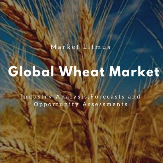 Global Wheat Market Sizes and Trends
