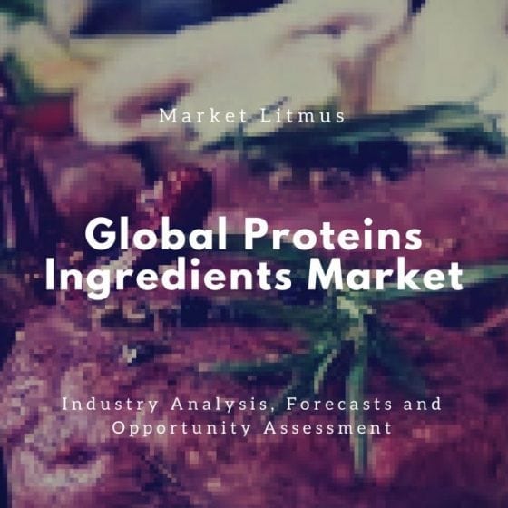 Global proteins Ingredients market Sizes and Trends