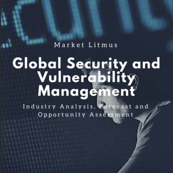Global security and vulnerability management Sizes and Trends