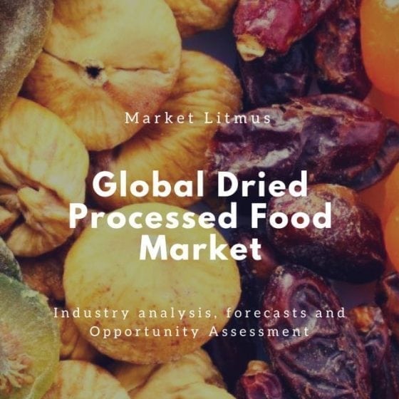 global dried processed food market Sizes and Trends